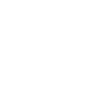ͣ